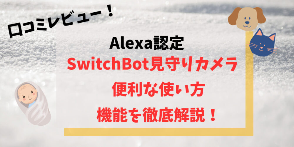 Alexa認定Switch Bot見守りカメラ