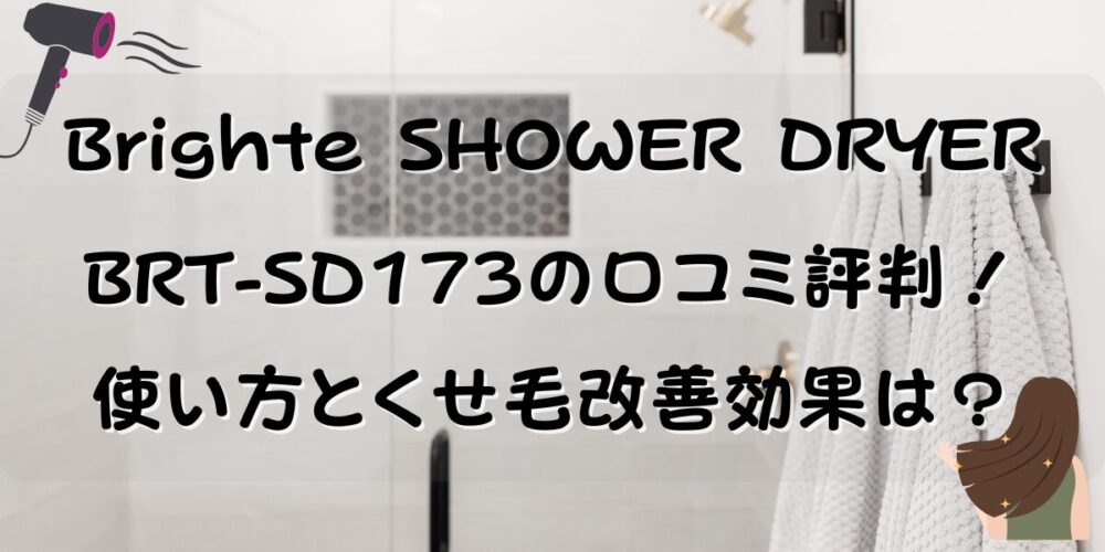 BRT-SD173の口コミ評判！使い方とくせ毛改善効果を徹底検証