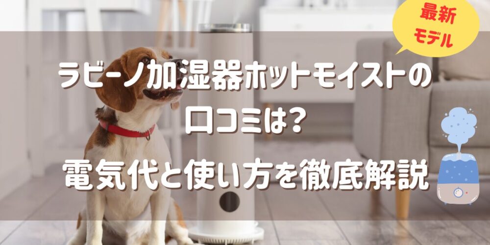ラビーノ加湿器ホットモイストの口コミ！電気代と使い方を徹底解説