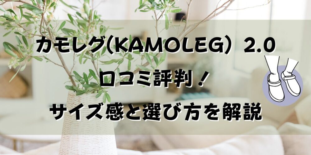 サイズ感と選び方を解説