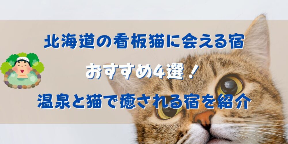 北海道の看板猫に会える宿おすすめ4選！温泉と猫で癒される宿を紹介