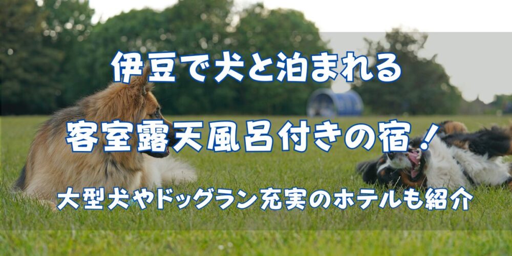 伊豆で犬と泊まれる客室露天風呂付きの宿8選！大型犬やドッグラン充実のホテルも紹介