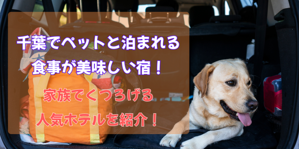 千葉でペットと泊まれる食事が美味しい宿9選！家族でくつろげる人気ホテルを紹介！